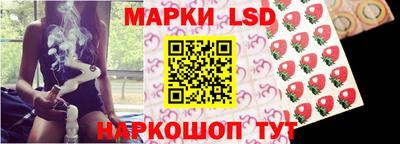 МДПВ Будённовск