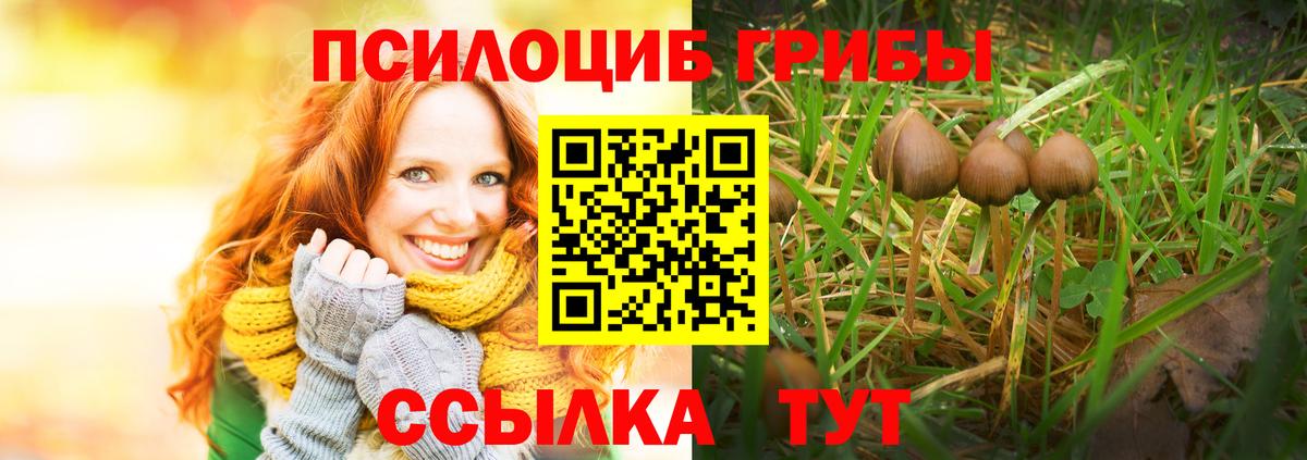 Псилоцибиновые грибы мицелий  Вход с VPN  Орехово-Зуево 